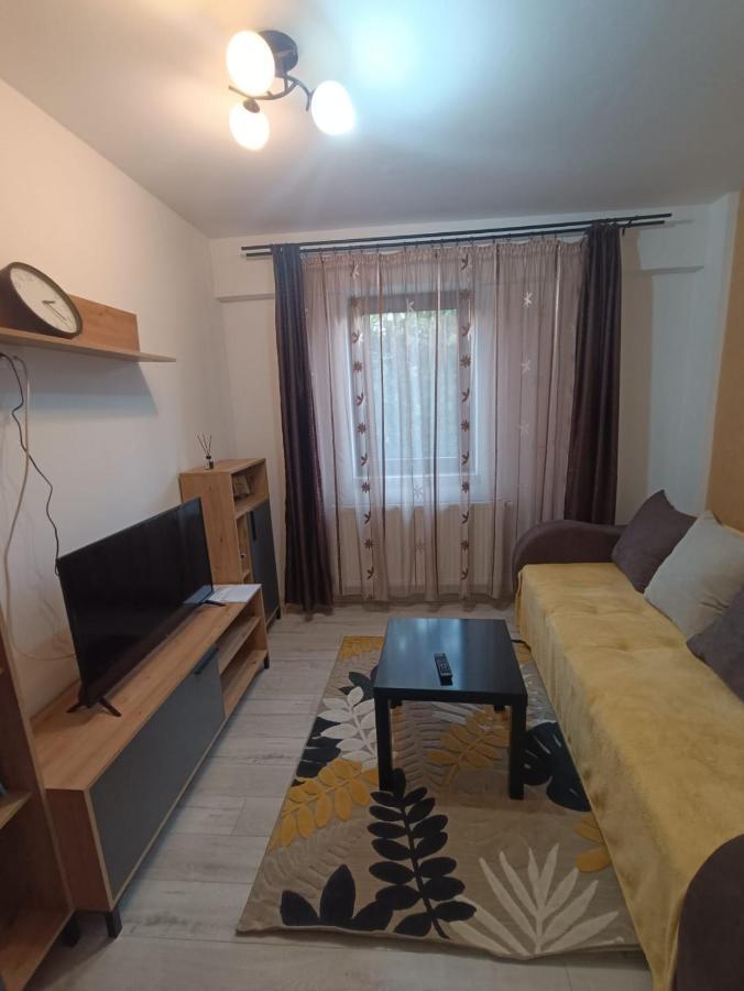 Daylight Apartments Sibiu Exteriér fotografie